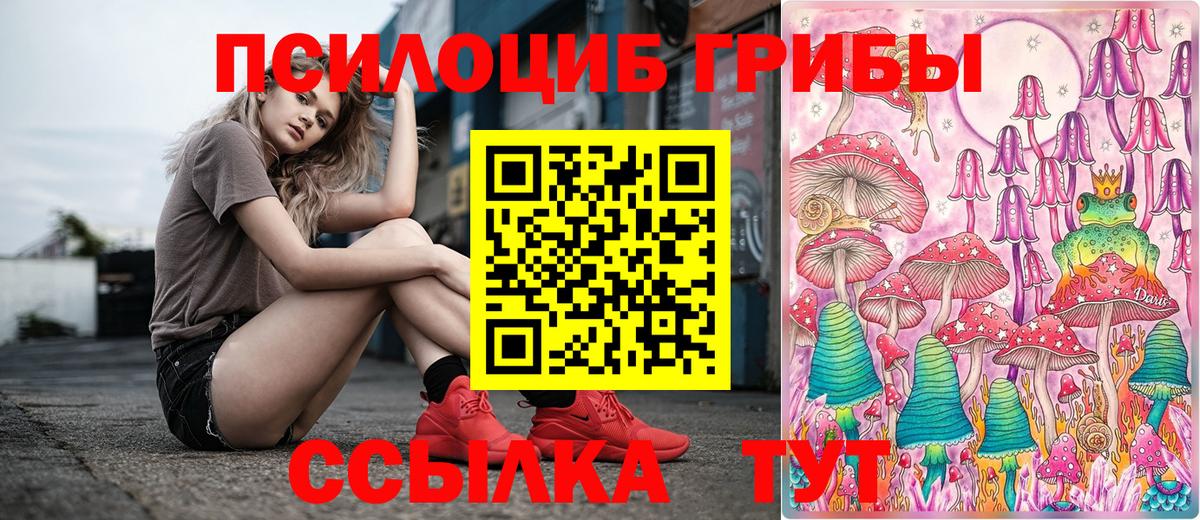 Галлюциногенные грибы мицелий  наркотики  Галлюциногенные грибы Cubensis  Георгиевск  Вход с VPN 